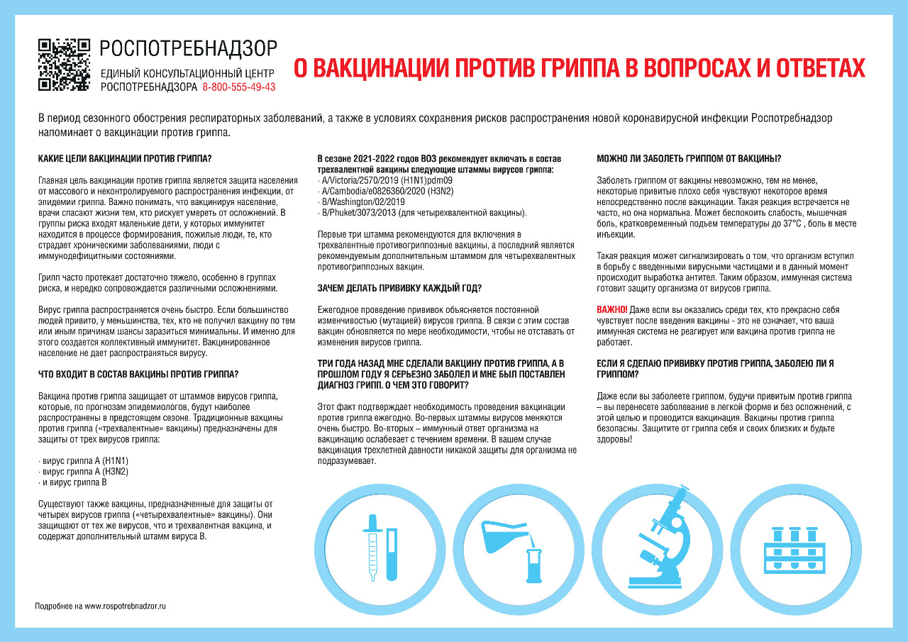 Инфографика